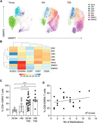 Altered Nutrient Uptake Causes Mitochondrial Dysfunction in Senescent CD8+ EMRA T Cells During Type 2 Diabetes